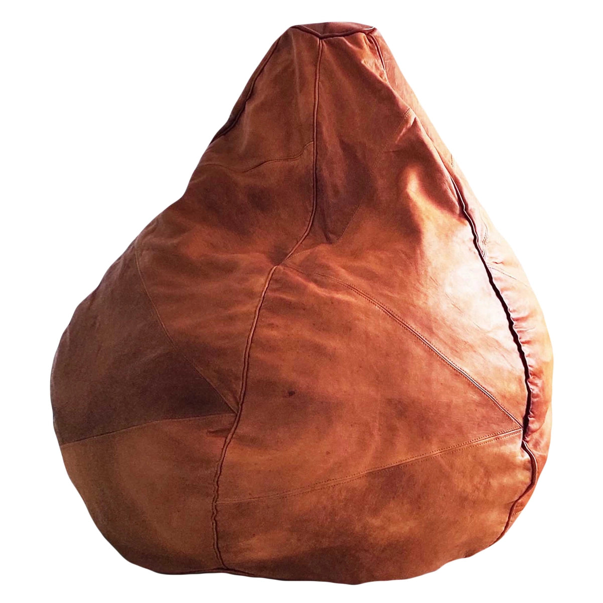 Leather Beanbag